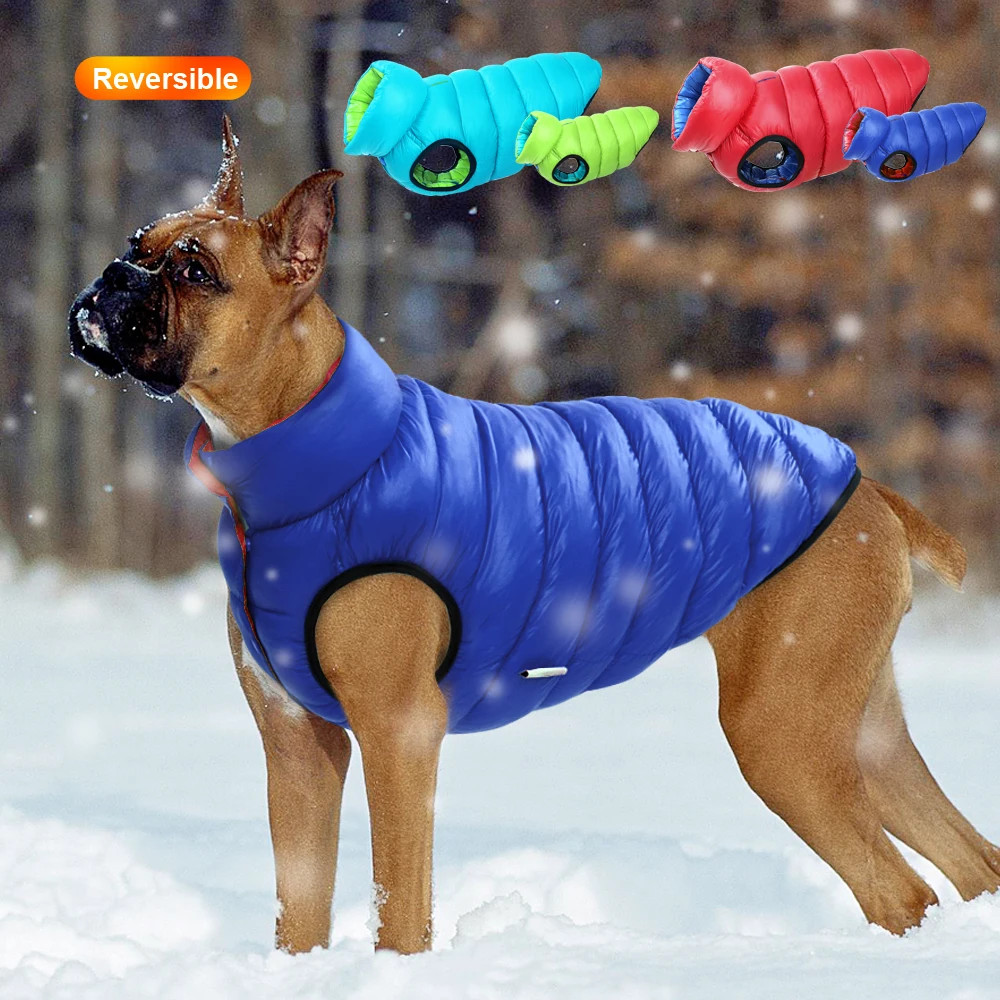 Winter Clothing Layers - Теплая зимняя одежда для собак, жилет,